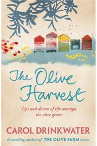 The Olive Harvest