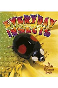 Everyday Insects