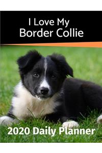 I Love My Border Collie