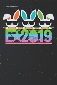 Cool Bunnies 2019