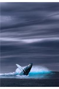 Save Our Oceans, A Daily Recycling Journal