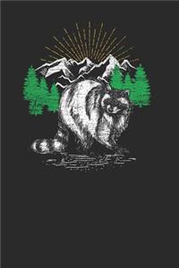 Racoon Drawing