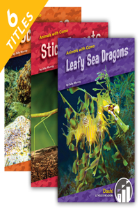 Animals with Camo (Set)