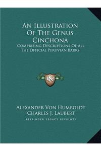 An Illustration Of The Genus Cinchona