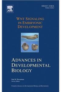 Wnt Signaling in Embryonic Development