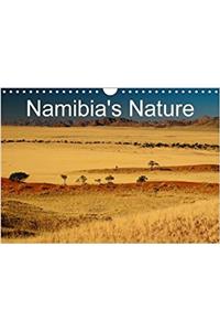 Namibia's Nature 2018