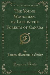 The Young Woodsman, or Life in the Forests of Canada (Classic Reprint)