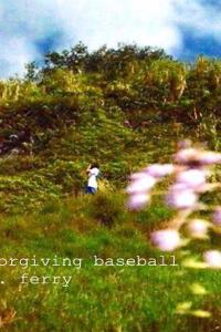 Forgiving Baseball