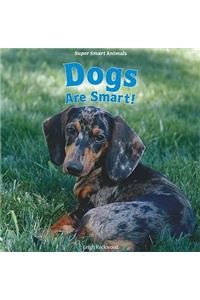 Dogs Are Smart!