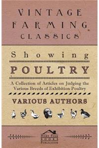 Showing Poultry - A Collection of Articles on Judging the Various Breeds of Exhibition Poultry