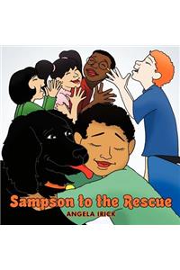 Sampson to the Rescue