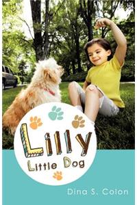 Lilly Little Dog