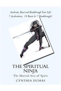 Spiritual Ninja