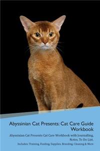 Abyssinian Cat Presents