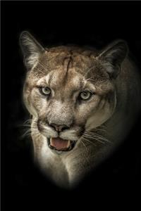 Cool Puma in the Dark Journal