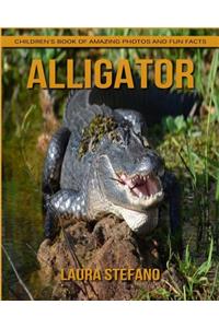 Alligator