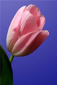 Floral Journal Pretty Pink Tulip