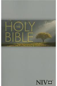 Holy Bible-NIV