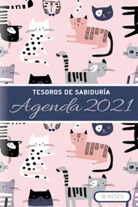 2021 Planificador - Tesoros de Sabiduría - Gatos