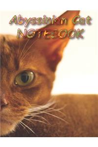 Abyssinian Cat NOTEBOOK