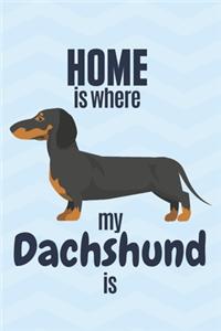 Home is where my Dachshund is