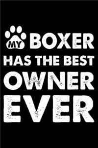 My Boxer Has The Best Owner Ever