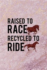 Raised To Race Recycled To Ride