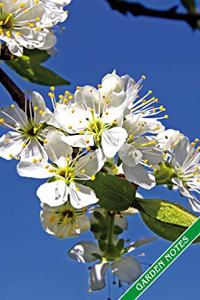 Garden Notes