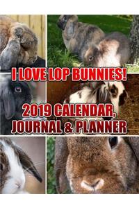 I Love Lop Bunnies! 2019 Calendar, Journal & Planner