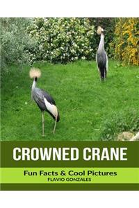Crowned Crane