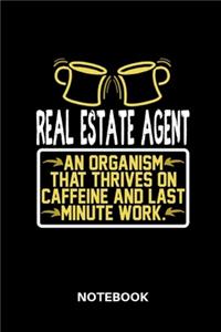 Real Estate Agent - Notebook