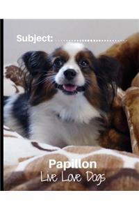 Papillon - Live Love Dogs!