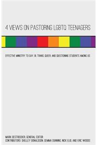 4 Views on Pastoring Lgbtq Teenagers