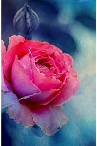 Journal Notebook - Rose In Bloom
