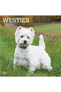 West Highland White Terriers 2021 Square Foil