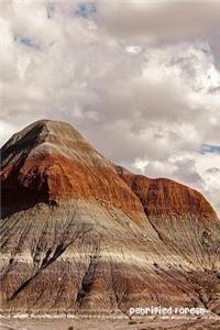 Petrified Forest