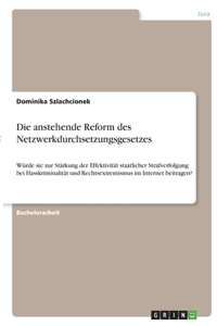 anstehende Reform des Netzwerkdurchsetzungsgesetzes: Würde sie zur Stärkung der Effektivität staatlicher Strafverfolgung bei Hasskriminalität und Rechtsextremismus im Internet beitragen?