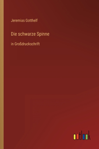 schwarze Spinne
