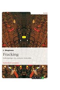 Fracking. Hoffnungsträger oder politischer Zielkonflikt?