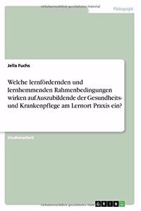 Welche lernfördernden und lernhemmenden Rahmenbedingungen wirken auf Auszubildende der Gesundheits- und Krankenpflege am Lernort Praxis ein?