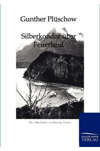 Silberkondor über Feuerland