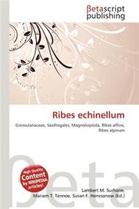 Ribes Echinellum