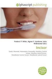Incisor