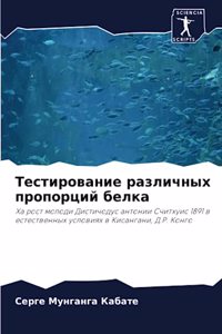 Тестирование различных пропорций белка