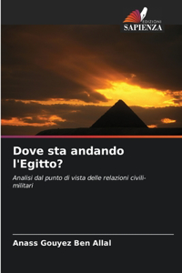 Dove sta andando l'Egitto?