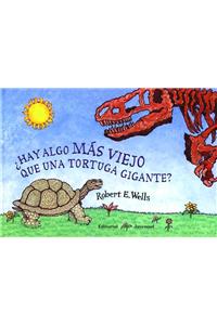 Hay Algo Mas Viejo Que Una Tortuga Gigante