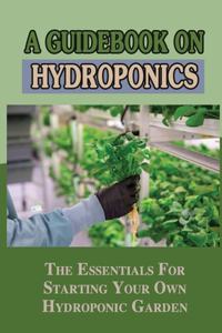 A Guidebook On Hydroponics