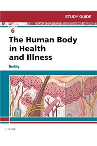 Study Guide for The Human Body in Health and Illness