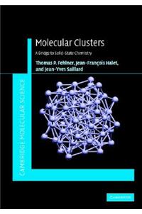 Molecular Clusters