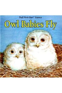 Owl Babies Fly